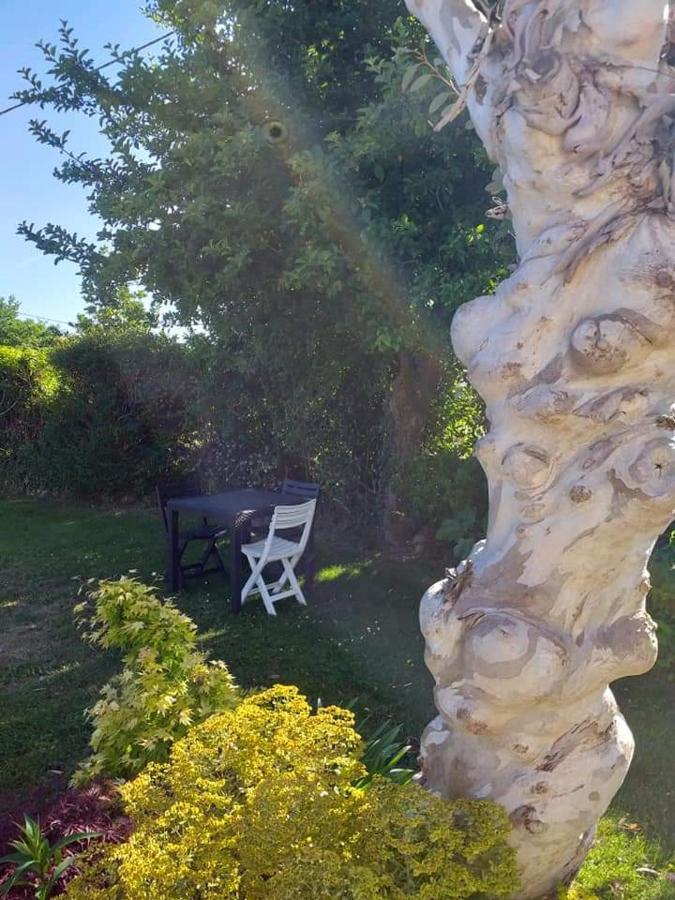 Chez Michel Et Michele Hotel Calan Buitenkant foto